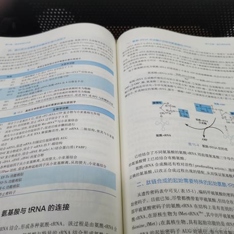 晚晚太阳系第一可爱于2022-11-23 08:59发布的图片