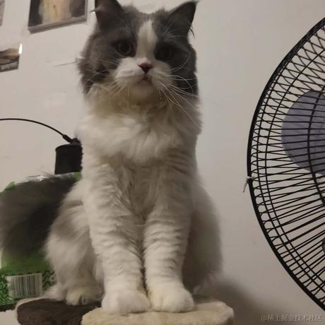 彩虹鱼a于2020-08-05 17:53发布的图片