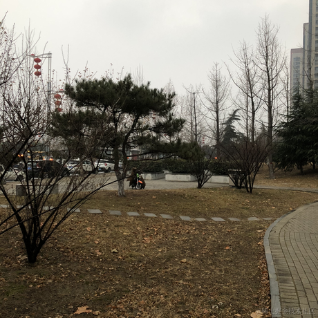 JenkingWang于2023-02-09 07:50发布的图片