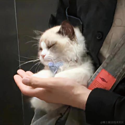 gentle_autonomic于2022-11-02 23:30发布的图片