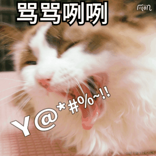 踌躇的豌杂面于2022-02-16 17:36发布的图片
