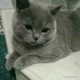 简单起来吧