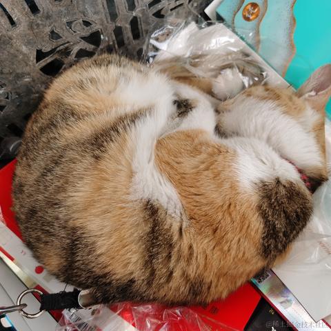 泊浮目于2022-01-15 13:58发布的图片