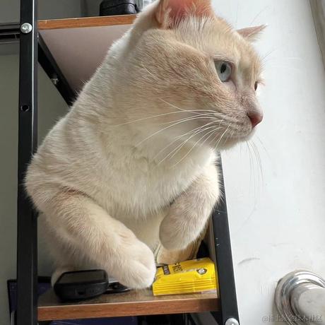 老丈人于2024-05-23 17:19发布的图片