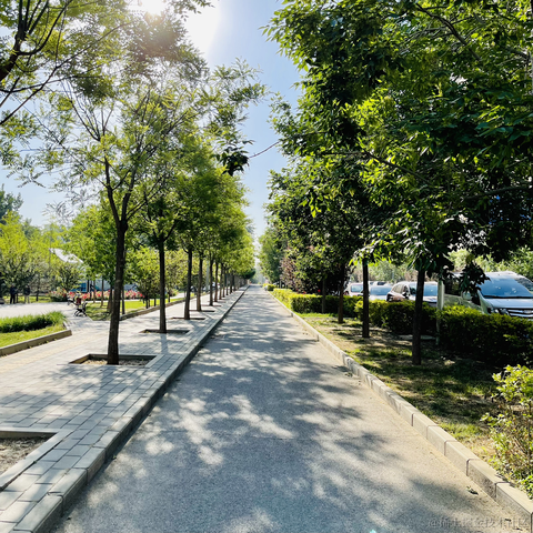 唐戴斯于2021-05-18 23:13发布的图片