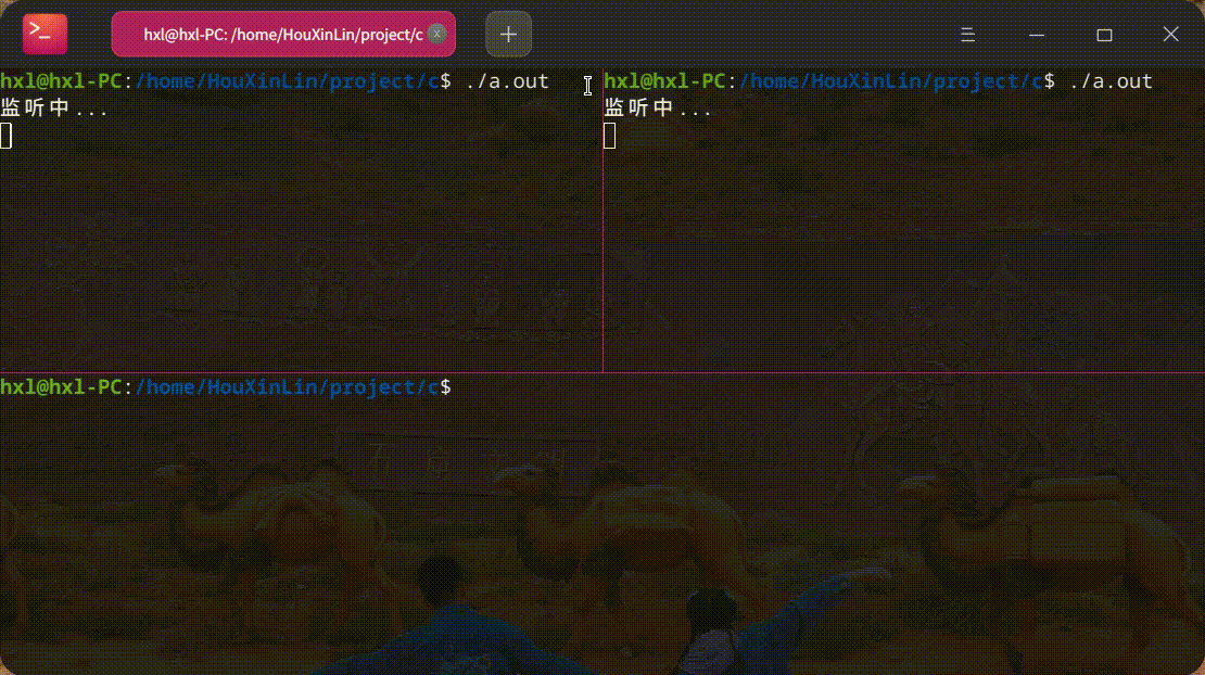 录屏_deepin-terminal_20211114073911.gif