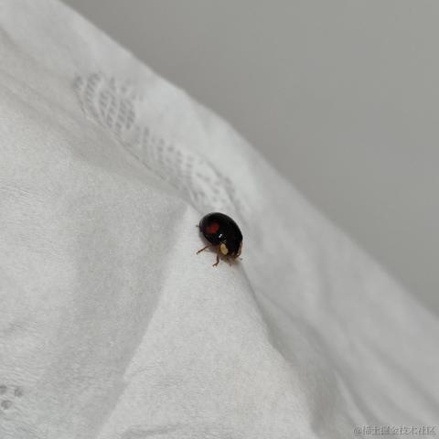 天光向晚云徘徊于2022-11-17 22:07发布的图片