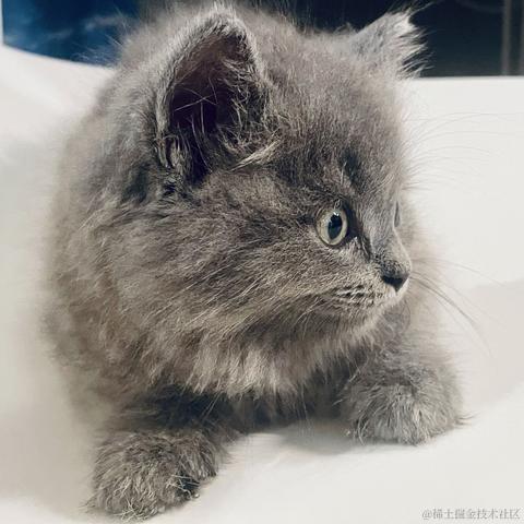想要考公的小前端于2022-06-25 09:22发布的图片