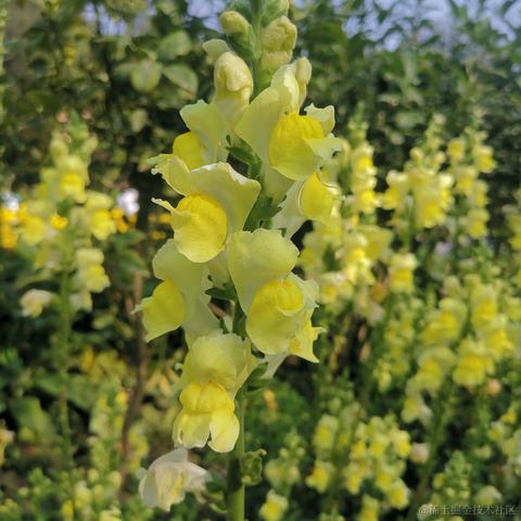 小小喵于2023-03-11 11:57发布的图片