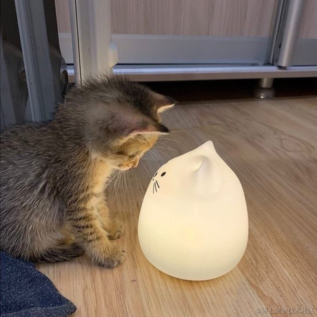 路敞于2022-12-06 19:45发布的图片