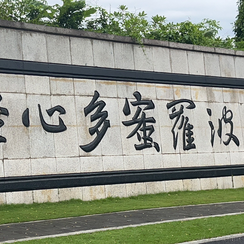暴君狂击于2023-09-09 13:32发布的图片