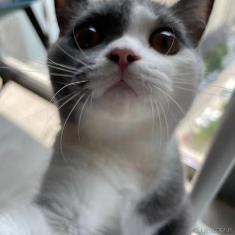 Livingbody于2021-10-27 19:22发布的图片