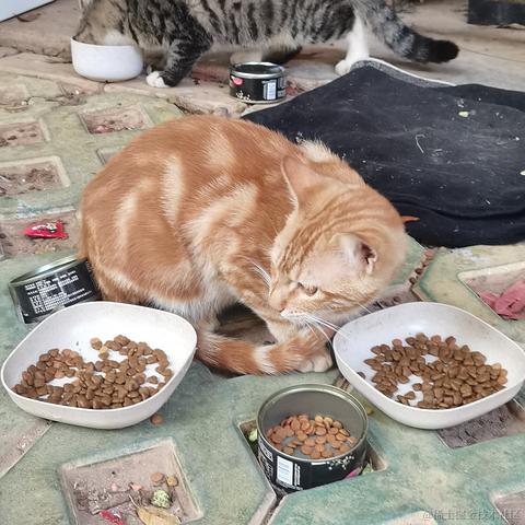 西米酱米西于2022-11-10 16:51发布的图片