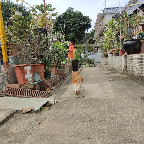 枝江最甜草莓嘉心棉花糖于2022-12-05 22:05发布的图片