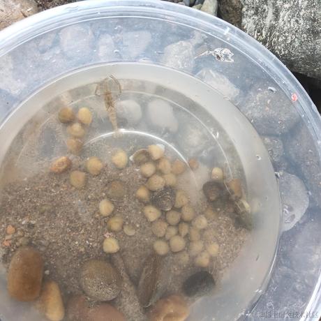 码农小胖哥于2021-09-24 17:31发布的图片