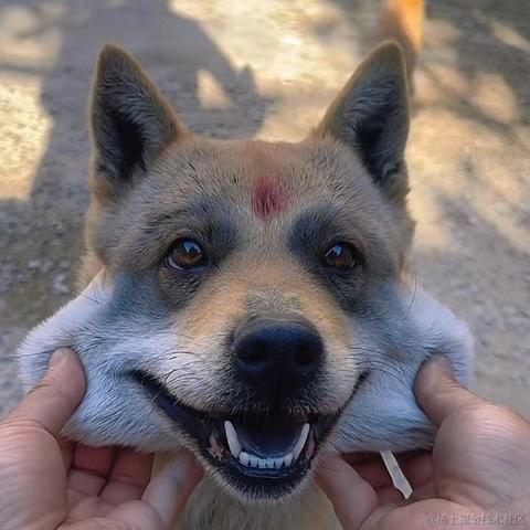 只想躺平不想努力于2024-05-11 16:17发布的图片