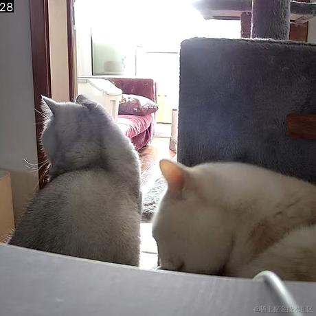 早点火锅店于2022-12-03 19:30发布的图片