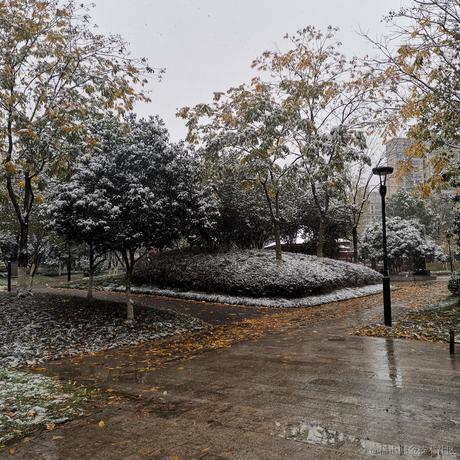 湘小宝666于2022-12-01 13:44发布的图片