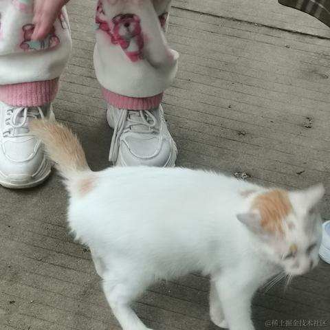 开开多喝水于2022-11-30 17:19发布的图片