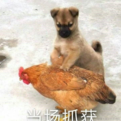 羁客于2021-11-25 17:18发布的图片