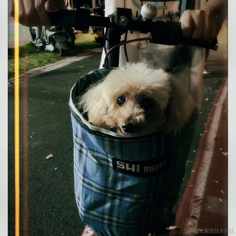 紫色的猪于2022-12-08 23:48发布的图片