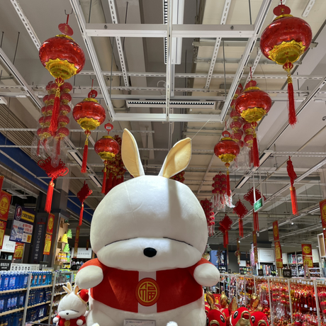 debiao_charls于2023-01-19 10:31发布的图片