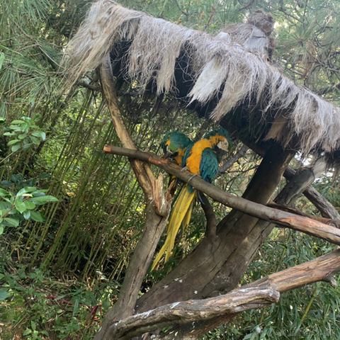 切图_仔于2022-10-05 21:46发布的图片