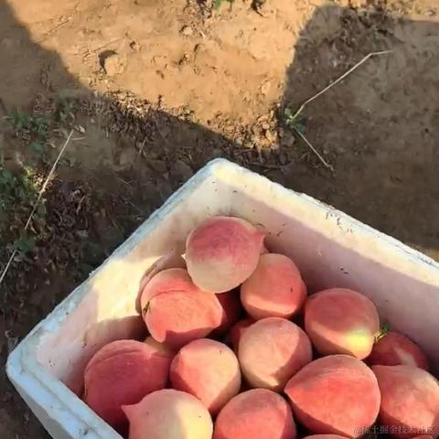 人性本恶于2024-05-03 16:03发布的图片