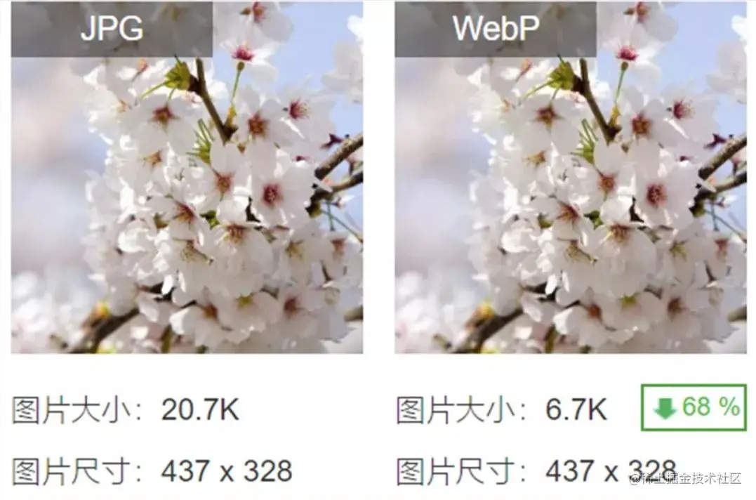 JPEG 与 WebP 同图片压缩对比