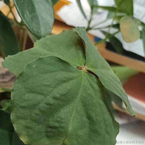 zue于2023-12-27 14:04发布的图片