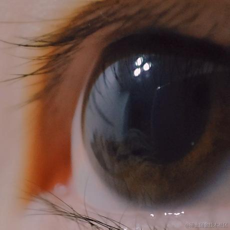 树洞robot于2023-08-31 11:55发布的图片