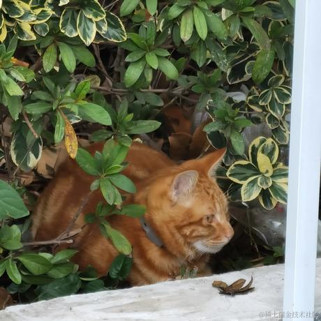 傲娇大头于2022-11-20 06:44发布的图片