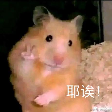 嘉然今天吃小黄于2022-11-16 23:16发布的图片