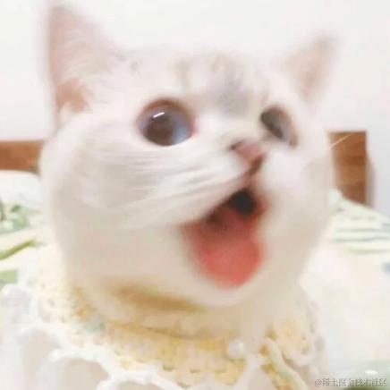 小可莉于2023-11-24 11:16发布的图片