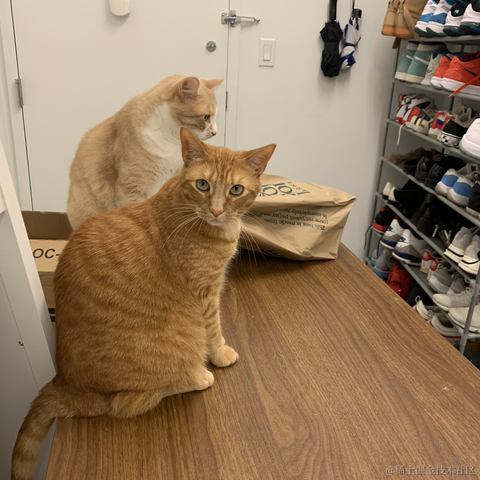 moremorefree001于2020-12-23 13:24发布的图片