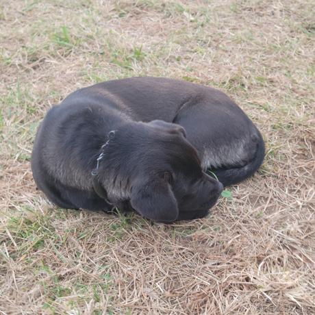 明前奶绿于2022-11-29 23:30发布的图片