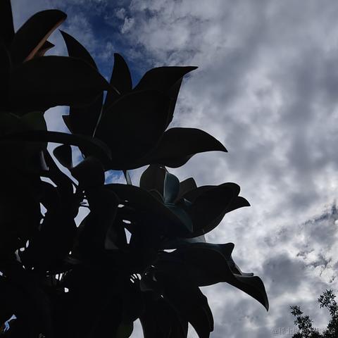 枝江小区第一寒冰于2023-07-04 16:44发布的图片