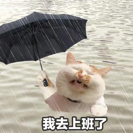 不关小白白的事于2024-06-27 13:37发布的图片