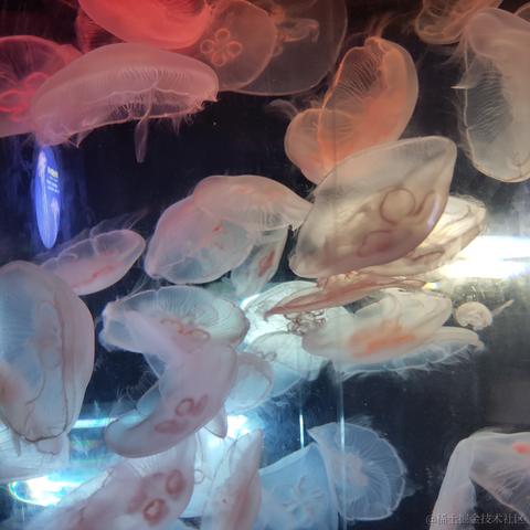 陀螺星于2022-11-11 08:52发布的图片