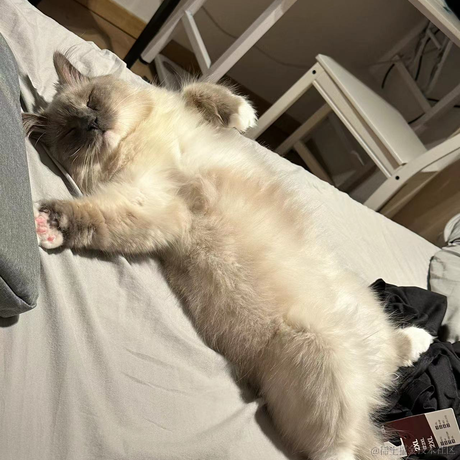 打你的修狗于2023-04-13 18:30发布的图片