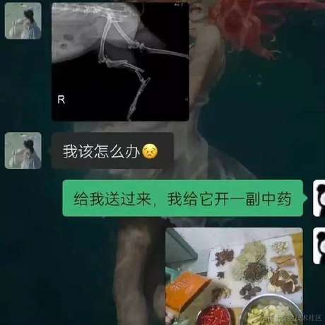 一朵花于2022-07-29 10:27发布的图片