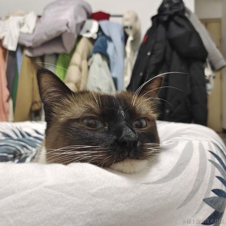 暖阳之时于2022-04-02 15:24发布的图片