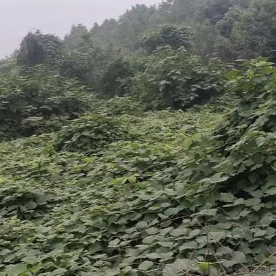 赢赢赢于2022-11-30 09:56发布的图片