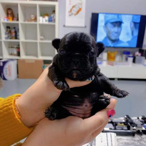 BooBoo于2021-12-26 16:45发布的图片