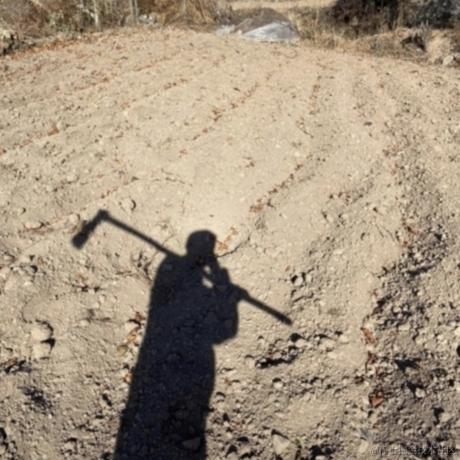 undefIned于2023-03-21 11:02发布的图片