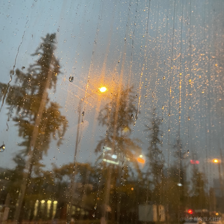 freedomdudu于2022-11-10 08:39发布的图片