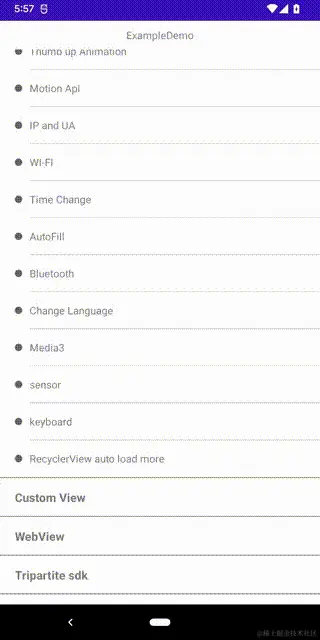 Screen_recording_202 -big-original.gif