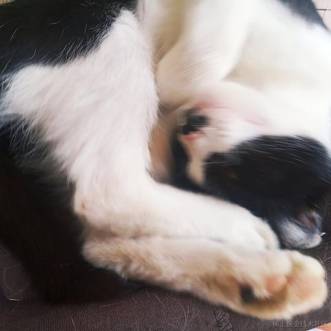 晚里只有鱼于2023-06-19 15:37发布的图片