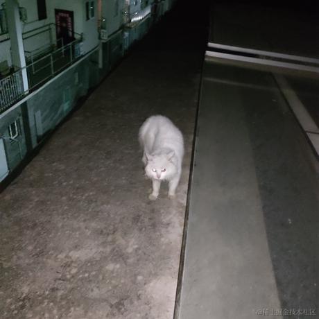 金克丝的含义就是金克丝于2021-09-14 00:17发布的图片