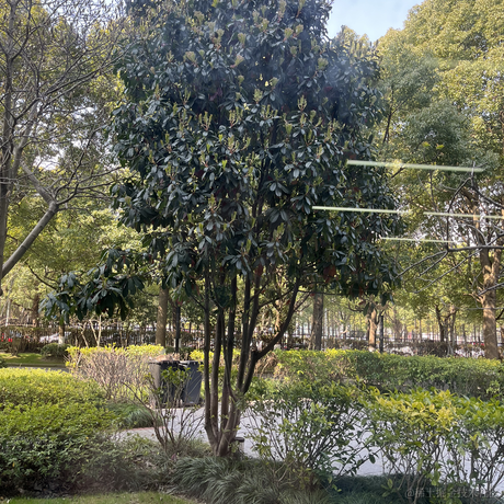 狂踹瘸子那条好腿于2023-03-08 09:54发布的图片